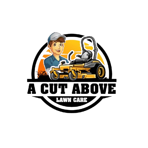 290231494_396002679255309_2818270876565139803_n-removebg-preview (1)