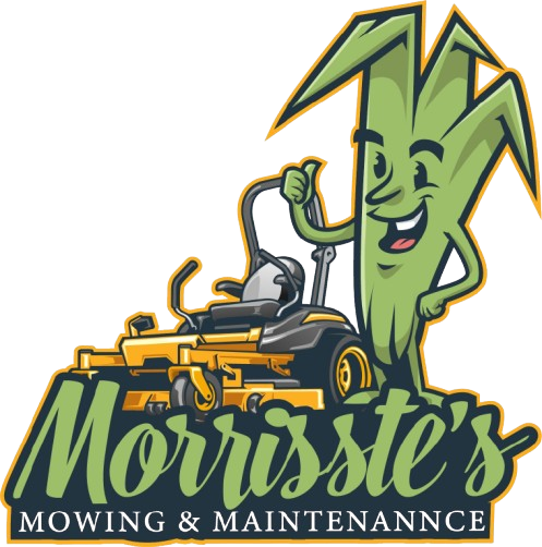 295651410_415871663935077_2212418426809735690_n-removebg-preview